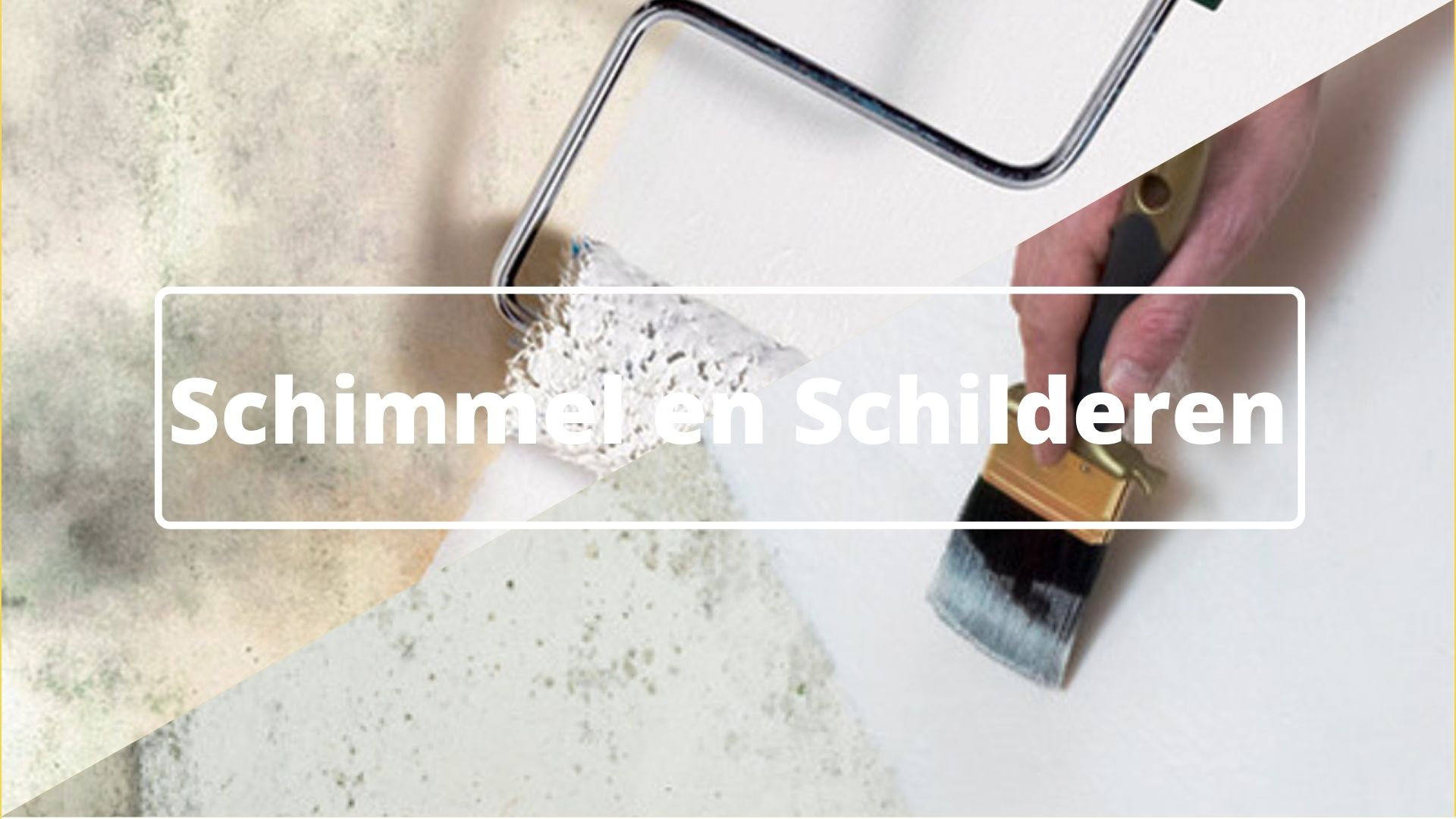 Schimmel schilderen